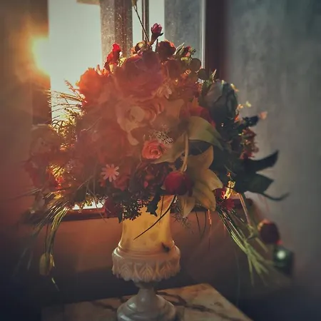 тhe Bohemian Lodge-entire House With Sauna Apartment Veliko Tarnovo