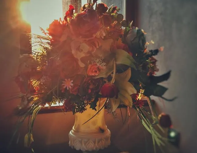 тhe Bohemian Lodge-entire House With Sauna Apartment Veliko Tarnovo